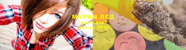мяу мяу кристалл Иннополис