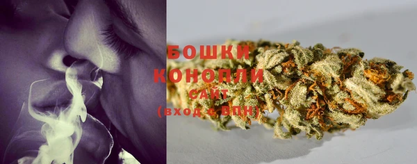 мяу мяу кристалл Иннополис