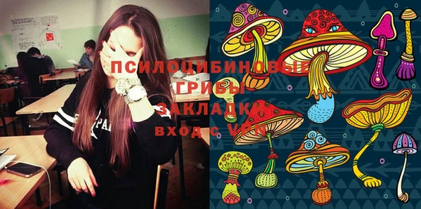 шишки Зеленокумск