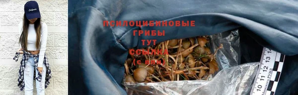 шишки Зеленокумск