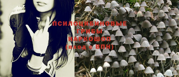 стафф Инсар