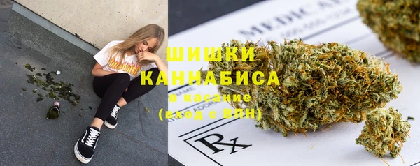 мяу мяу кристалл Иннополис