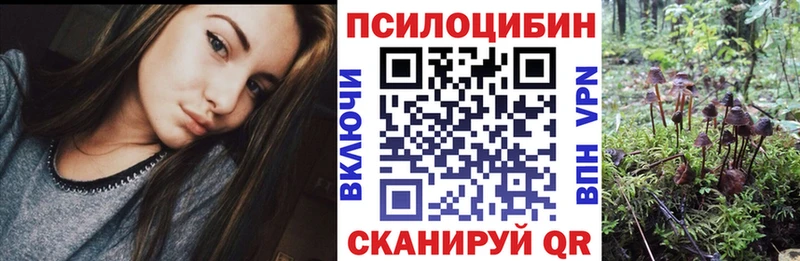 что такое наркотик  Дербент  Псилоцибиновые грибы Magic Shrooms 